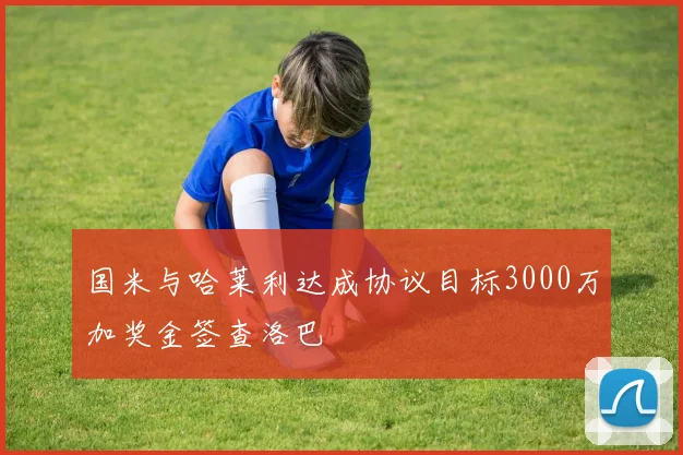 国米与哈莱利达成协议目标3000万加奖金签查洛巴